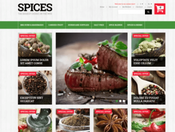 Spiced Dishes for Health Magento Theme