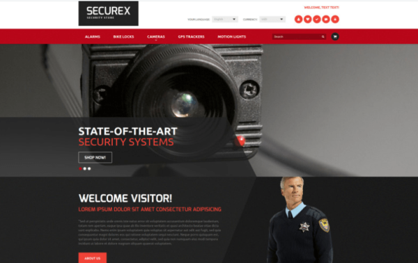 Security Products Store Magento Theme