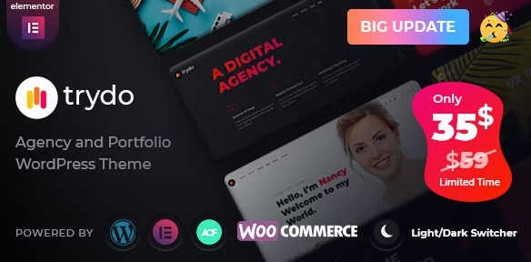 Trydo – Creative Agency Portfolio WordPress Theme
